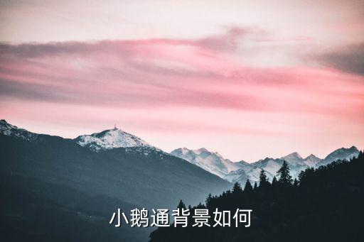小鹅通背景如何