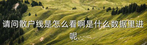 请问散户线是怎么看啊是什么数据里进呢