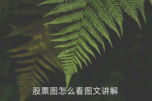股票图怎么看图文讲解