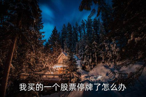 我买的一个股票停牌了怎么办