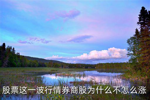 为什么券商股票很难涨停，证券交易所目前的行情这么好为什么证券的股票涨得这么慢