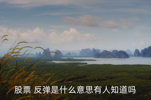 股票 反弹是什么意思有人知道吗