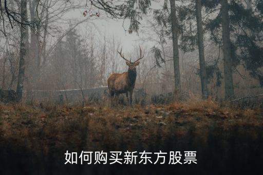 怎么买新东方股票，新东方在美国上市了那只有炒美股才可以买新东方的股票了