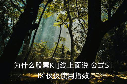 为什么股票里有公式，股票计算公式是什么含义