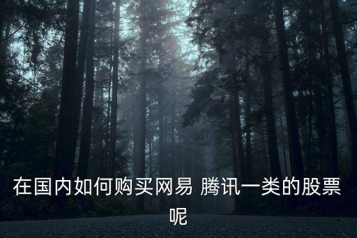 在国内如何购买网易 腾讯一类的股票呢