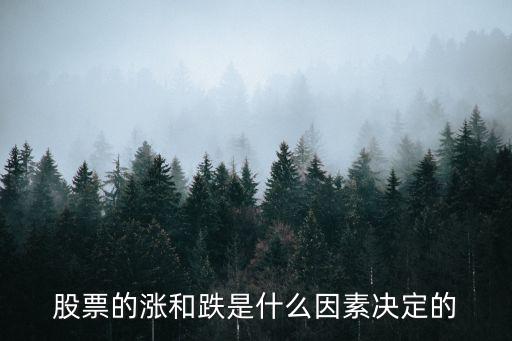 股票涨与跌看什么，股票判断涨跌主要看什么