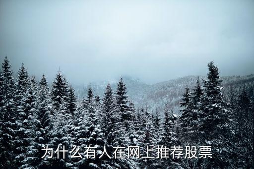 为什么有人在网上推荐股票