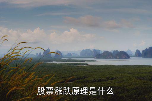 什么是股票涨跌底层逻辑，为什么股票会有涨跌其原理是什么
