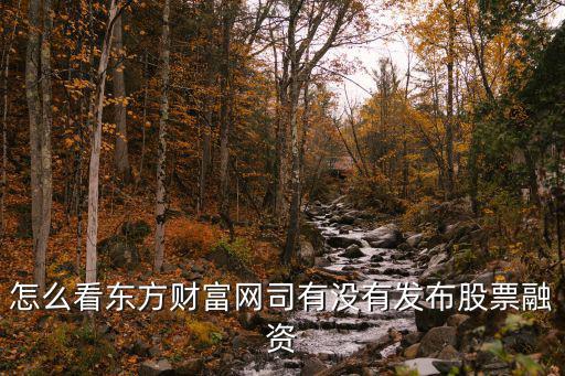 怎么看股票有没有融资，怎么看东方财富网司有没有发布股票融资