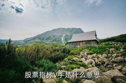 股票vo代表什么意思，股票指标V手是什么意思