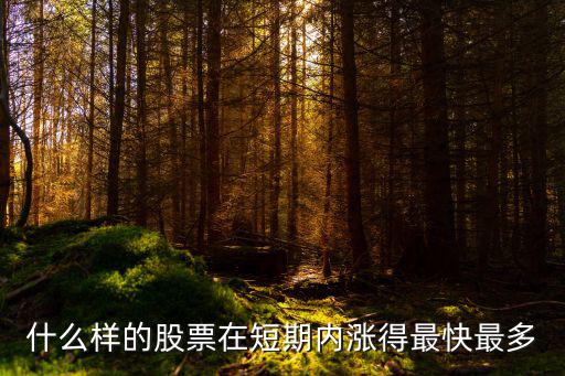 什么样的股票在短期内涨得最快最多