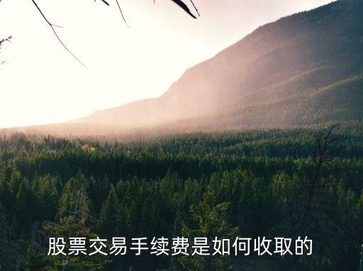 股票交易手续费是如何收取的