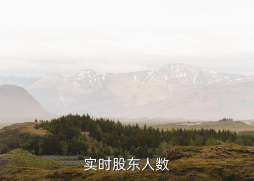 实时股东人数
