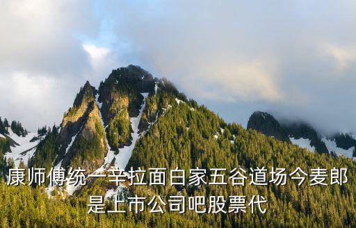 康师傅是什么股票行业，康师傅股票的发售方式是啥