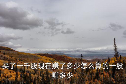 买了一千股现在赚了多少怎么算的一股赚多少