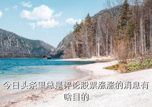 今日头条里总是评论股票涨涨的消息有啥目的