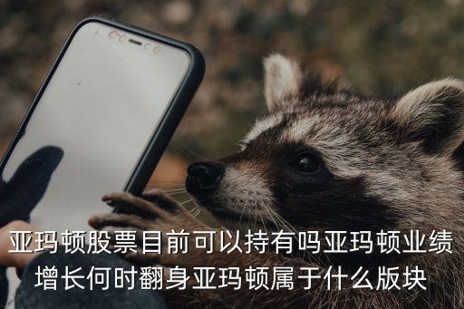 亚玛顿股票目前可以持有吗亚玛顿业绩增长何时翻身亚玛顿属于什么版块