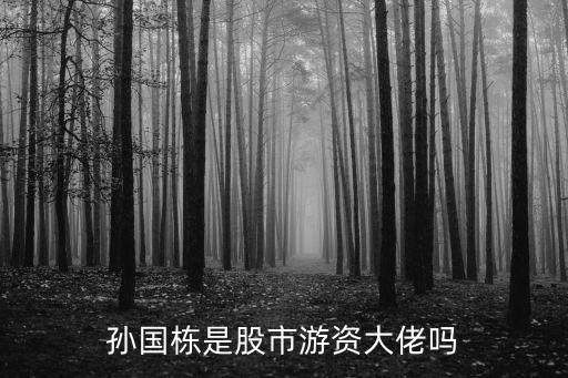 孙国栋是股市游资大佬吗