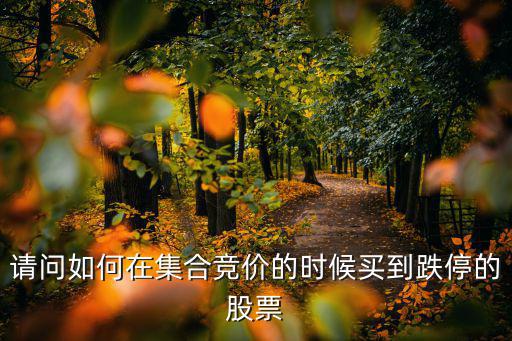 请问如何在集合竞价的时候买到跌停的股票