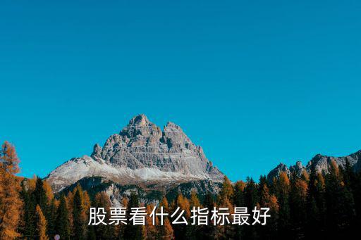 股票看什么指标合适买入，看股票哪几个指标比较重要