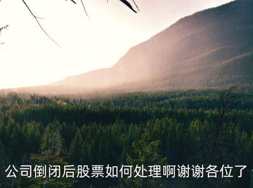 公司倒闭后股票如何处理啊谢谢各位了