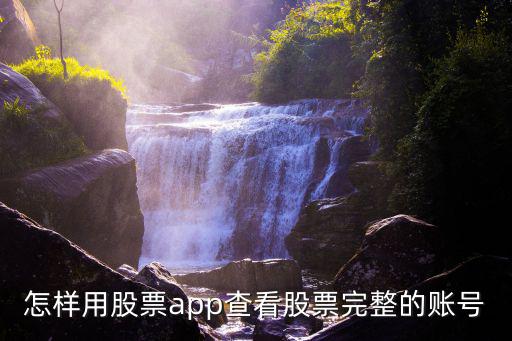 怎样用股票app查看股票完整的账号