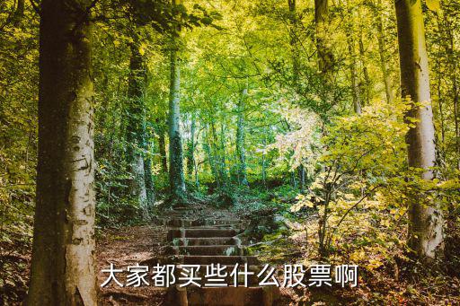 大家都买些什么股票啊