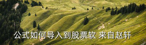 公式如何导入到股票软 来自赵轩
