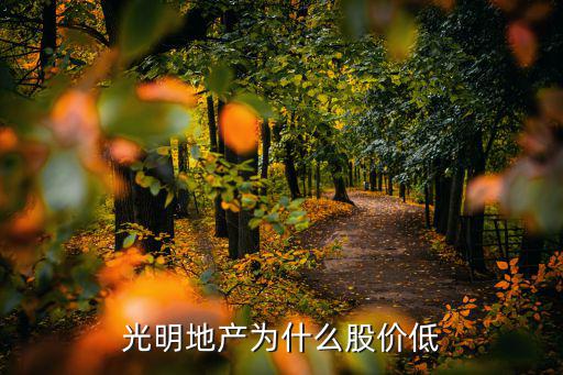 光明地产为什么股价低