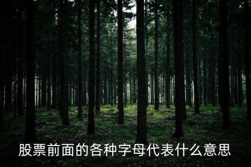 股票前面的各种字母代表什么意思