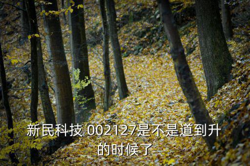新民科技 002127是不是道到升的时候了