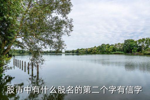 股市中有什么股名的第二个字有信字