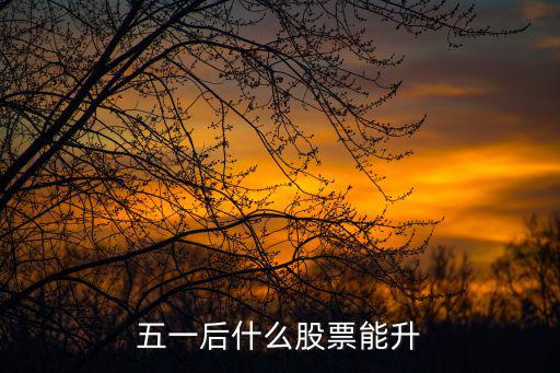 五一后什么股票能升