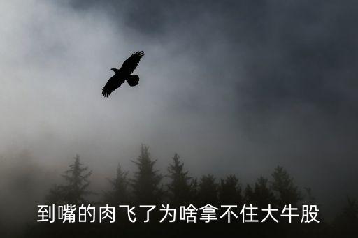 为什么拿住股票那么难，也谈散户为什么拿不住股票