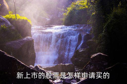 新上市的股票是怎样申请买的