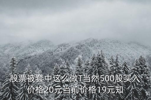 股票被套怎么做t，股票被套中这么做T当然500股买入价格20元当前价格19元知