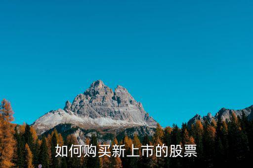 如何购买新上市的股票