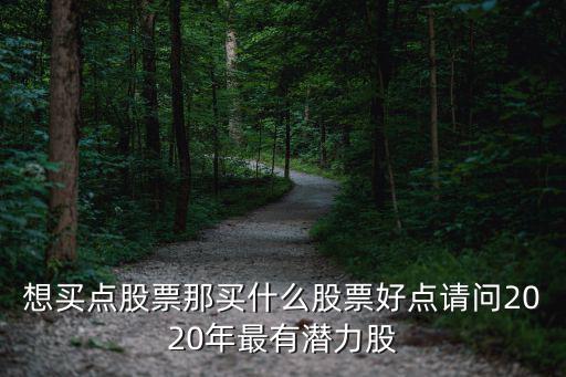 想买点股票那买什么股票好点请问2020年最有潜力股