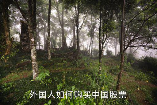 外国人如何购买中国股票