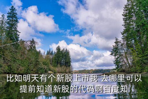 比如明天有个新股上市我 去哪里可以提前知道新股的代码啊百度知