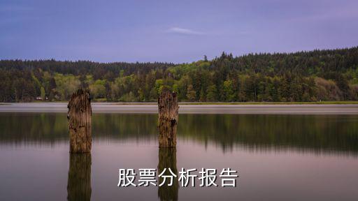 怎么写股票分析报告，如何写一篇股票投资分析报告