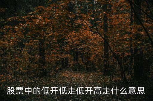 股票中的低开低走低开高走什么意思