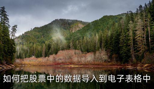 如何把股票中的数据导入到电子表格中