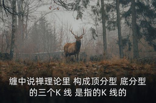 缠中说禅理论里 构成顶分型 底分型的三个K 线 是指的K 线的