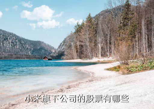 小米旗下公司的股票有哪些