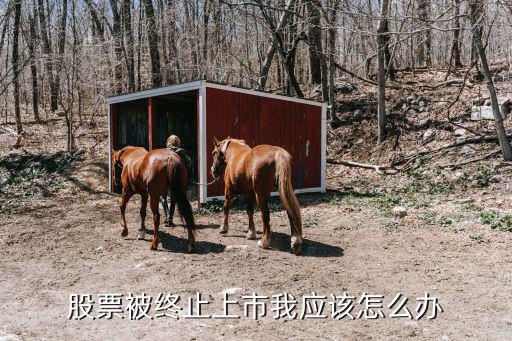 股票被终止上市我应该怎么办