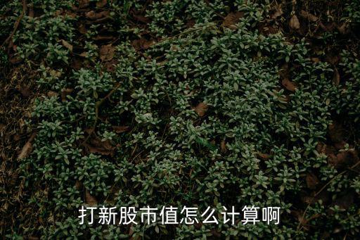打新股市值怎么计算啊