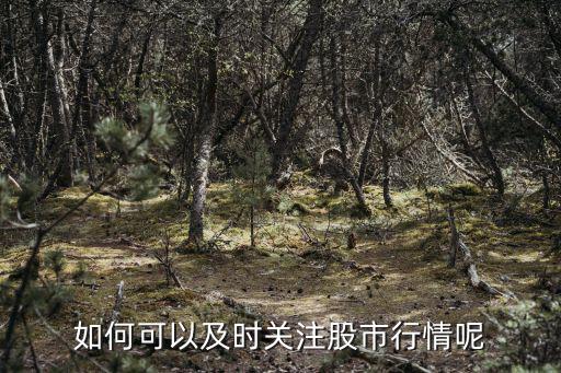 如何可以及时关注股市行情呢