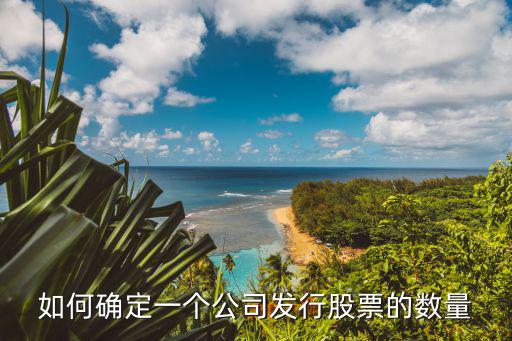 如何确定一个公司发行股票的数量
