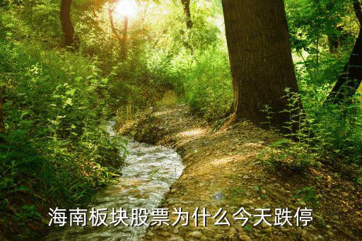 海南板块股票为什么今天跌停